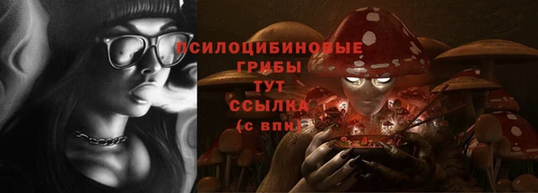 тгк Абаза